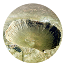 Canyon Diablo Meteorites Canyon Diablo Meteorites