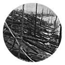 Tunguska Meteorite Southern Delta Aquariid Meteor Shower
